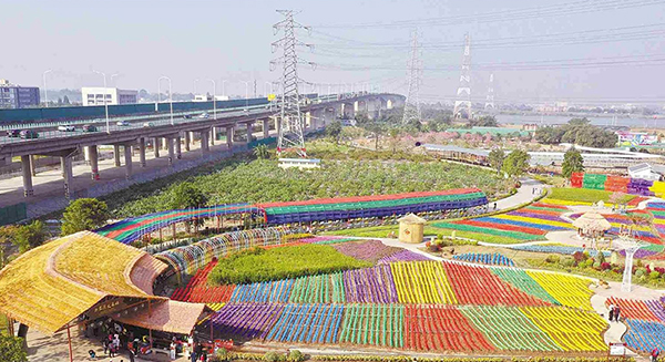 佛山多項創新實踐成全省典型 “億元村居”有望增至88個