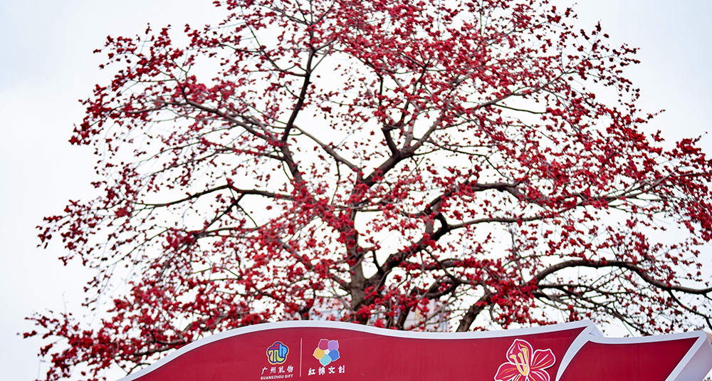 2026廣州“英雄花開英雄城”系列活動啟幕