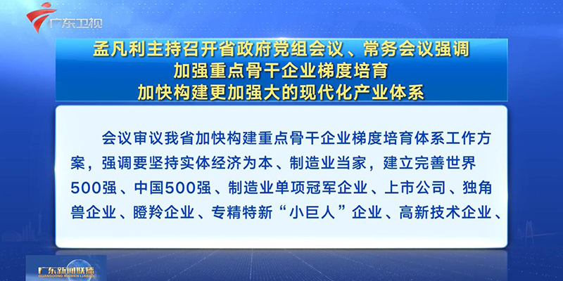 視頻：孟凡利主持召開省政府黨組會議、常務會議強調 加強重點骨干企業梯度培育 加快構建更加強大的現代化產業體系